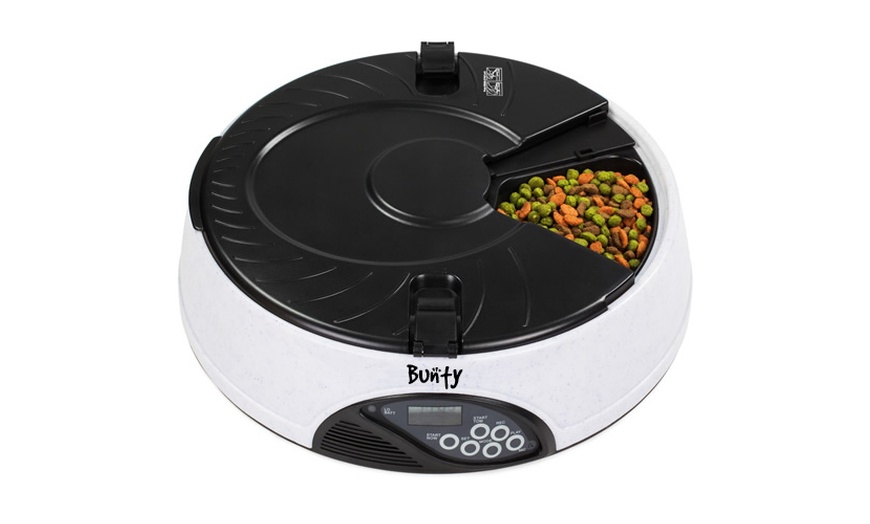 Bunty pet clearance feeder