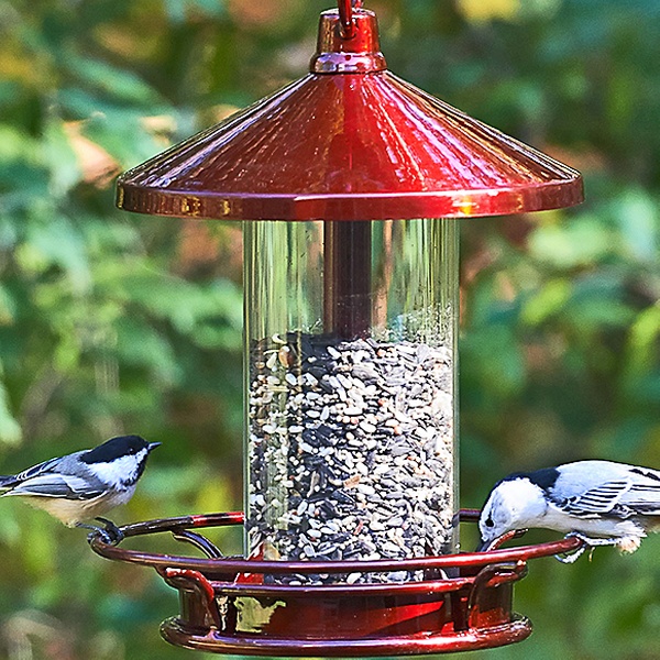 Good Directions Bird Feeders Groupon Goods