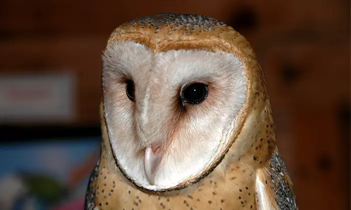 Admission for Two, Four, or Six at Cochran Mill Nature Center (Up to 42% Off) - Primary Image