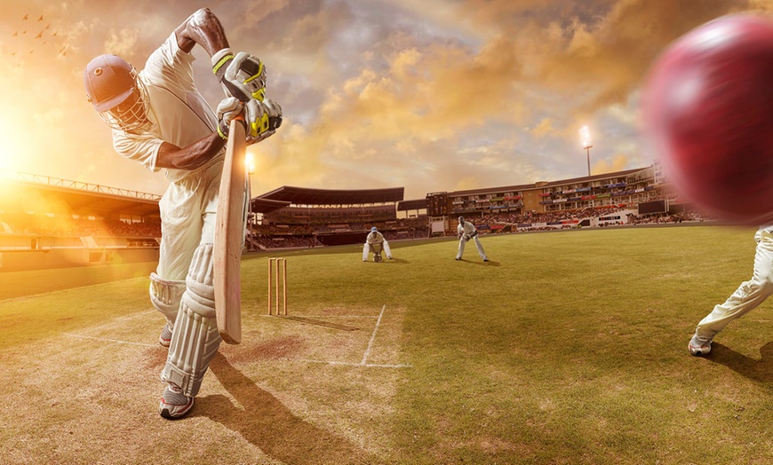 Image 1: 6-A-Side Indoor Cricket Game