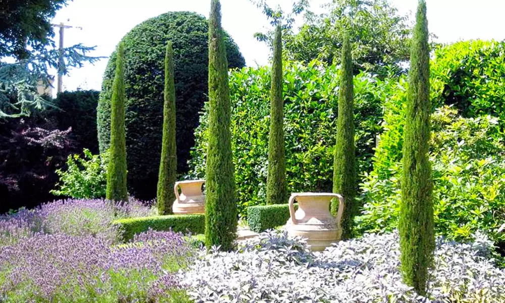 Two Van Gogh Cypress Trees from £19.99 With Free Delivery (50% Off) - Primary Image