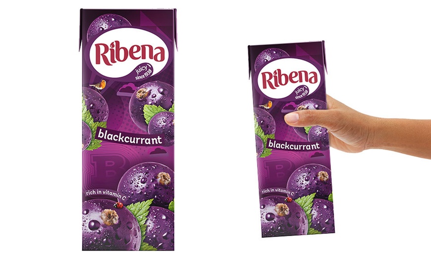 Image 2: 24 Cartons of Blackcurrant Fruit Juice