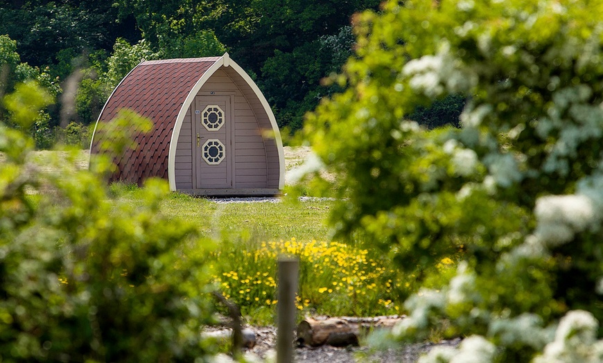 Image 4: Lancashire: Camping Pod