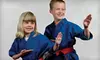 $19 for 10 Martial-Arts Classes at Pro Dojos (Up to $150 Value)