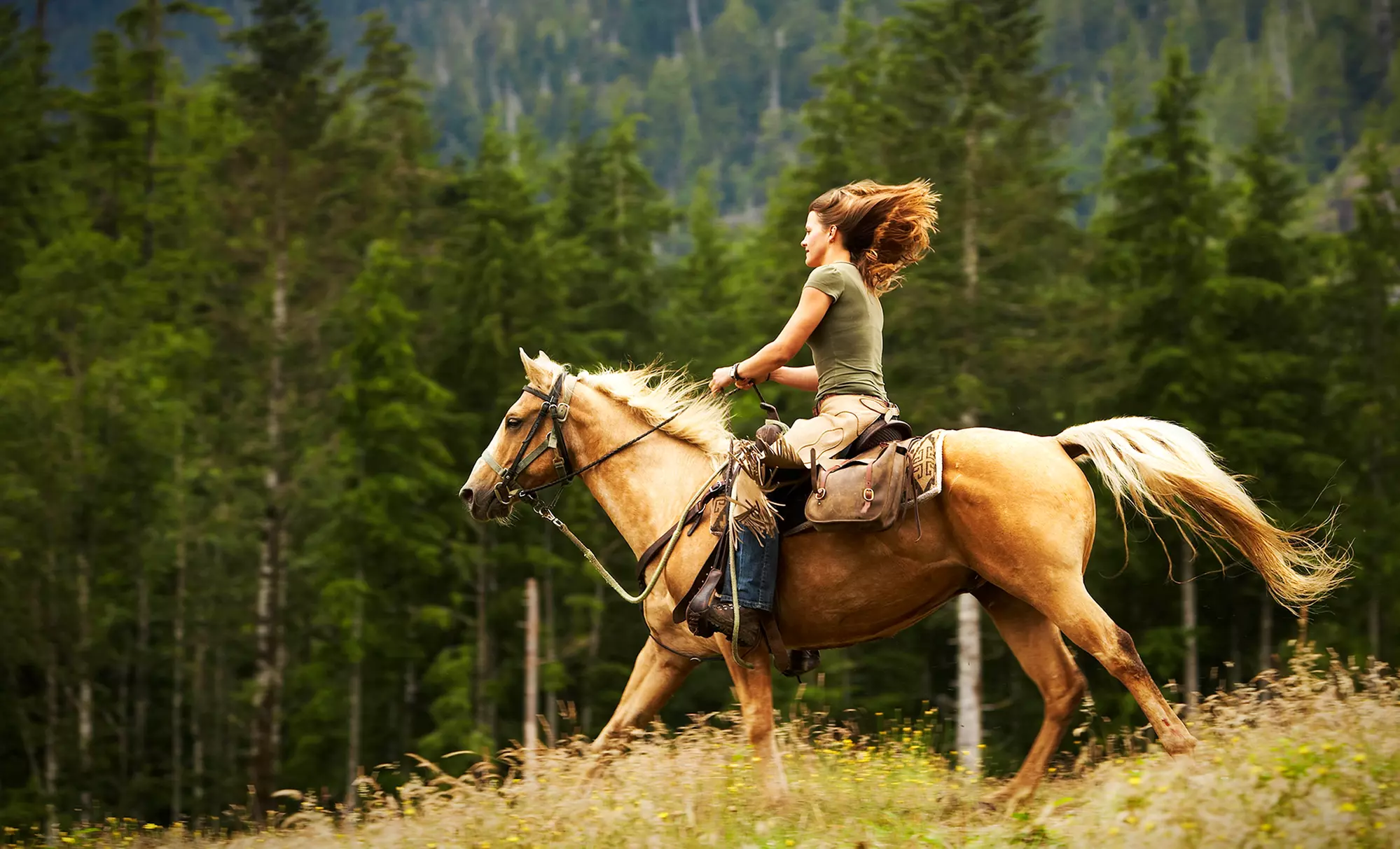 Two 60-Minute Private or Couples Riding Lessons at The Cameron Ranch (Up to 49% Off)  - Primary Image