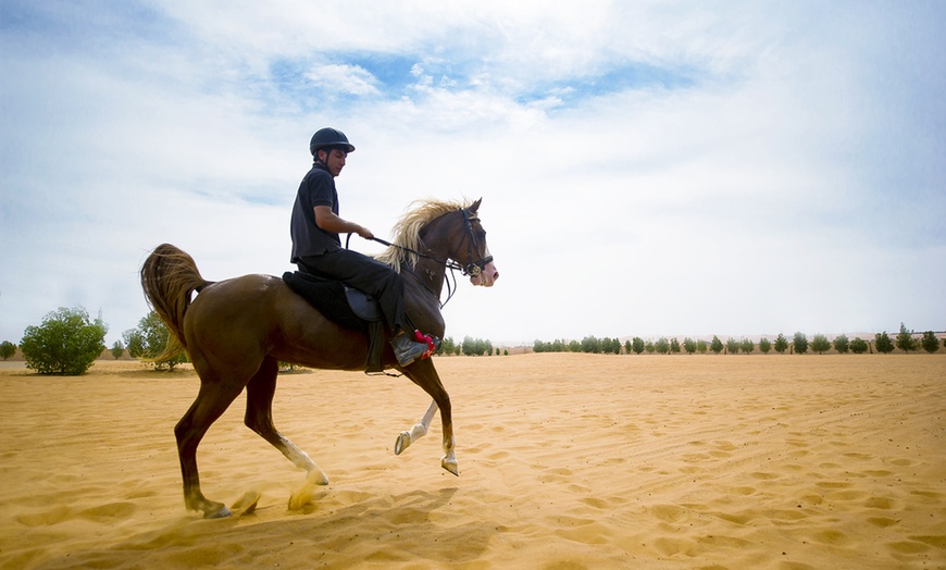 Image 11: Al Ain Break