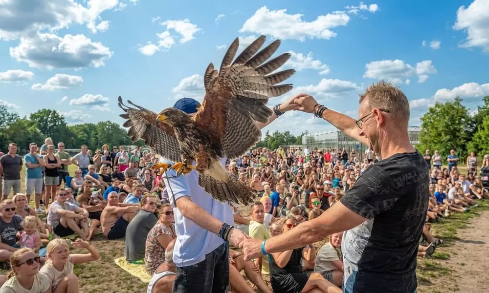 Interactieve roofvogelworkshop bij Settels Roofvogels