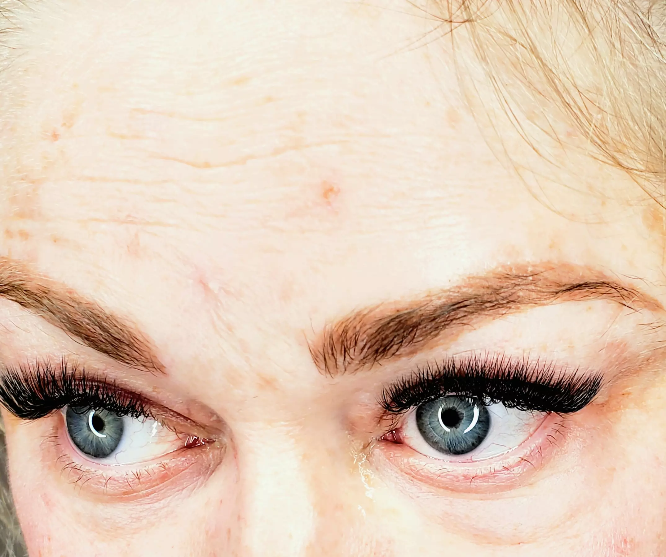 Experience Eyelusion's lash artistry with Classic and Volume options up to 35% off in Chicago - Primary Image
