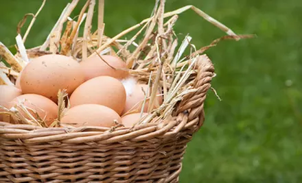 Easter-Egg Hunt and Hayride for One, Two, or Four at Sagebrush Ranch (Up to 68% Off)  - Primary Image