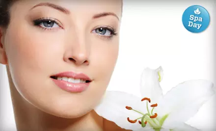 Nonsurgical Face Lift or Endermologie Cellulite-Reduction Treatment at Organelle Salon and Spa - Primary Image