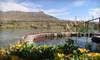 $15 for 50 Minutes in a Private, Open-Air Mineral Spa for Two at Riverbend Hot Springs in Truth or Consequences (Up to $30 Value)