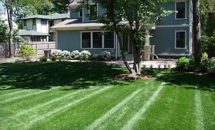 $50 for Consultation and Organic Lawn-Fertilization Treatment ($117 Value) from Greenwise  - Primary Image