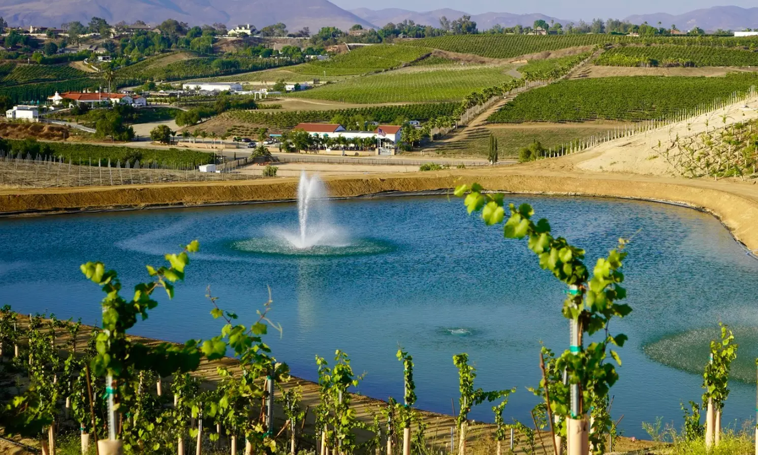 Brunch for 2,4,or 6: Brunch Entrees & Cocktails/$75/$150 Dining Credit