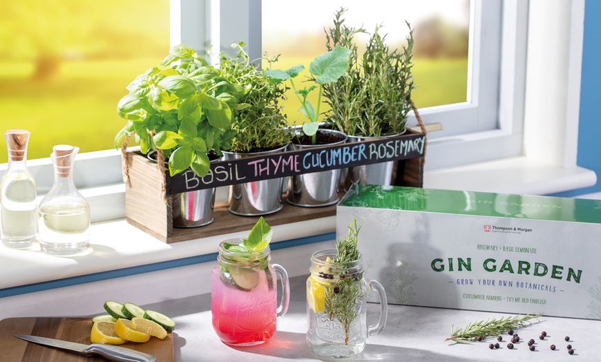 Image 1: 19-Piece Gin Garden Gift Set