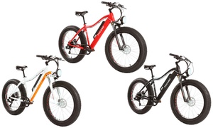  Monster eBike MTB 