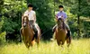 One or Four 30-Minute Private Horseback-Riding Lessons at Legacy Stables in Mendon (Up to 60% Off) 