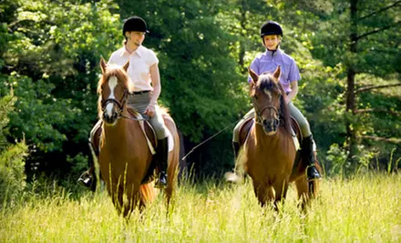 One or Four 30-Minute Private Horseback-Riding Lessons at Legacy Stables in Mendon (Up to 60% Off)  - Primary Image