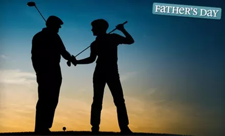 $48 for a One-Hour Golf Lesson from Tom Speicher Golf Academy in Estero ($97.50 Value) - Primary Image