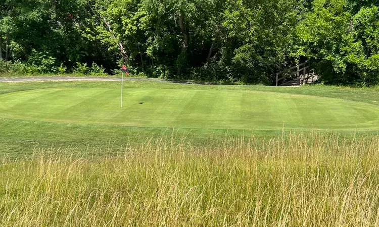 Golf Rounds with Cart at Cherry Valley Golf Course