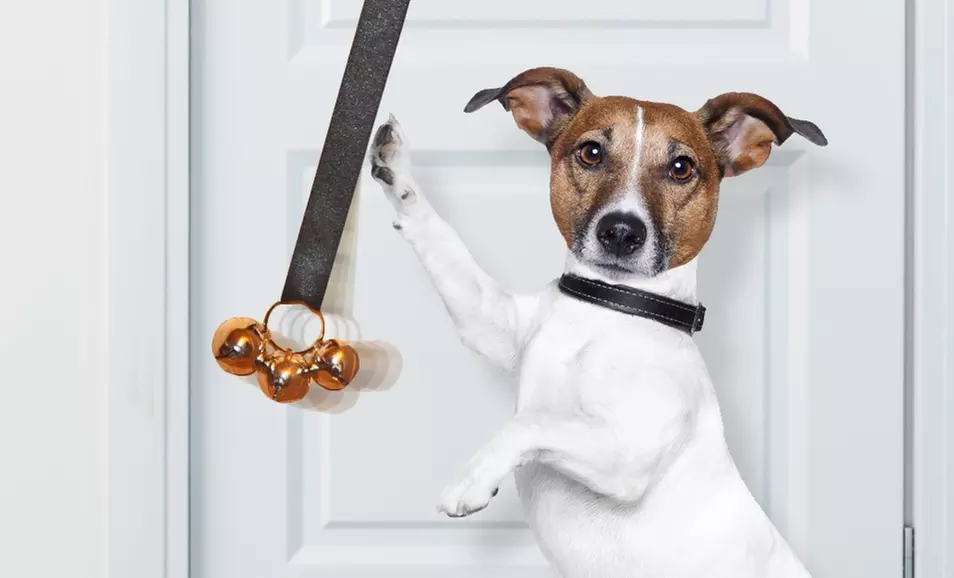 $11.99 for Potty Chimes Dog Potty-Training Chimes and DVD ($19.95 List Price). Free Returns. - Primary Image