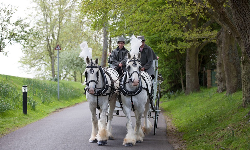 Image 1: Carriage Ride for Two