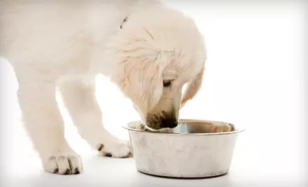 $15 for $30 Worth of Pet Food, Toys, and Accessories from PetFlow - Primary Image