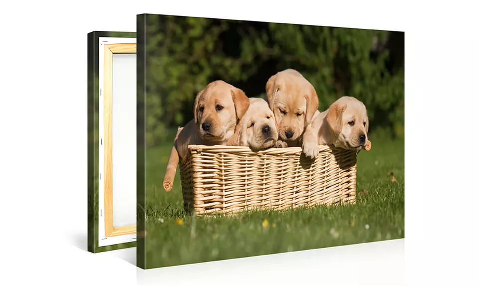 12"x8" or 16"x20" Custom Gallery-Wrapped Canvas Prints from CanvasOnSale for $6.99–$49.99 - Second Medium