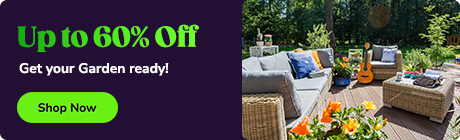 Groupon