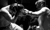 One Month of Unlimited Mixed Martial Arts Classes for Kids or Adults at Team Quest Martial Arts & Fitness