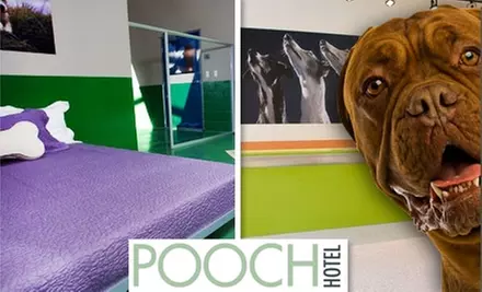 $50 for $150 Worth of Boarding & Services at the Pooch Hotel - Primary Image