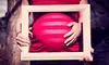 Photo-Shoot Package or Maternity and Newborn Photo-Shoot Package from Natural Perception Photography (Up to 64% Off) 