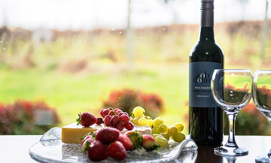 Image 7: Yarra Valley: Vineyard Escape