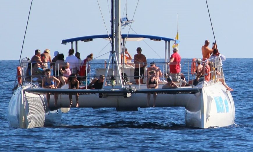 Image 6: ¡Descubre la aventura! Excursión en catamarán con comida y bebida