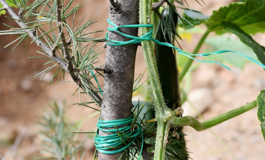 Image 3: 31-piece Reusable Garden Wire, Ties and Plant Clips Set