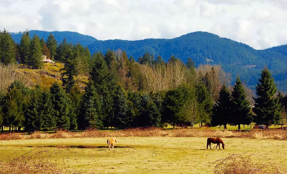 $209 for a Two-Night Stay for Two at The Hills Health and Guest Ranch in British Columbia (Up to $418 Value) - Primary Image