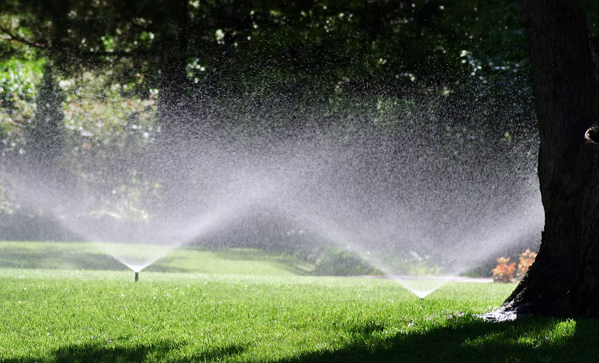 $45 for Sprinkler System Tune-Up at Entech Irrigation ($85 Value) - Primary Image