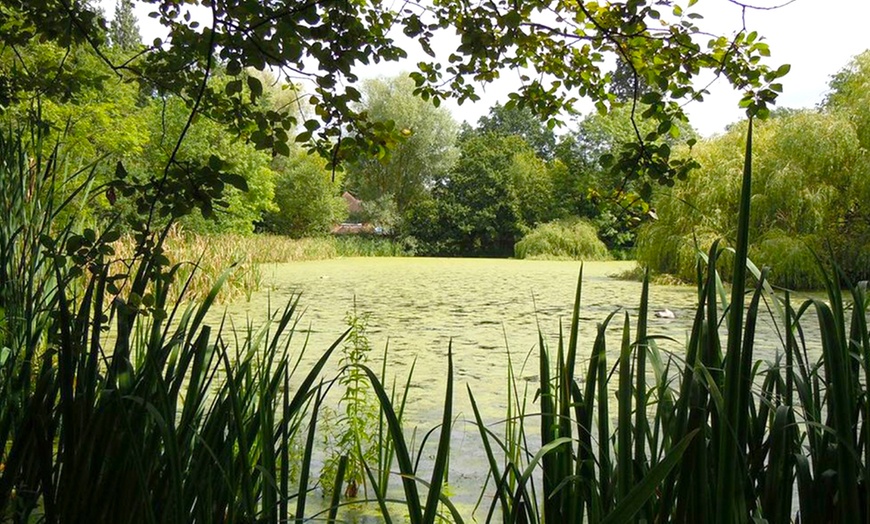 Image 4: Nature Reserve Family Entry