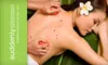$65 for $135 Toward Your Choice of Body Scrub Treatment or Massage at Suddenly Slimmer Day Spa