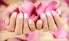 Salon and Spa Services at Sheri's Fine Salon & Spa. Three Options Available.  