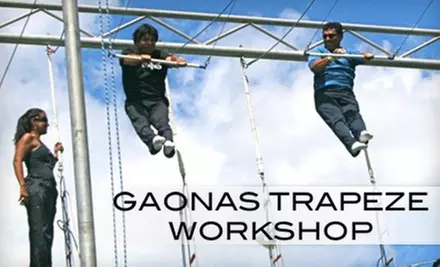$30 Trapeze Class at Richie Gaona's Trapeze Workshop in Woodland Hills - Primary Image