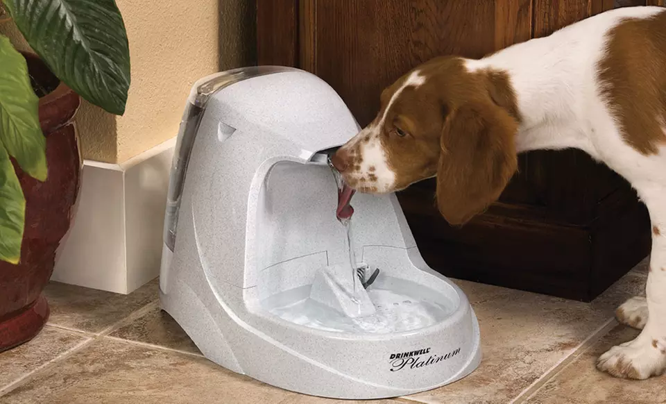 PetSafe Drinkwell Original, Platinum, or Zen Pet Fountains (Up to 44% Off). Free Shipping and Returns. - Primary Image