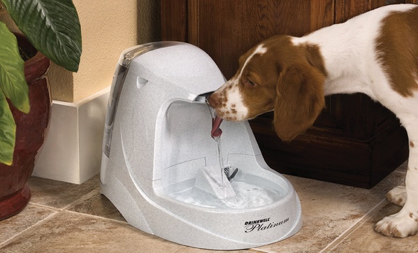 Drinkwell Pet Fountains Groupon Goods