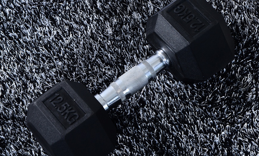 Image 18: Rubber Hexagonal Dumbbells