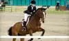 Two or Four Horseback-Riding Lessons at Out of Reach Farm in West Chester (Up to 64% Off)