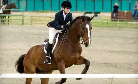 Two or Four Horseback-Riding Lessons at Out of Reach Farm in West Chester (Up to 64% Off) - Primary Image