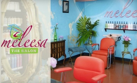 $40 for a Haircut, Blow-Dry, and Powerdose Treatment at Meleesa the Salon in Huntington Beach (Up to $110 Value) - Primary Image