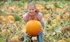 Two Children's Fun Passes and Apple Cider on Weekdays or Weekends at Applebarn Pumpkin Farm