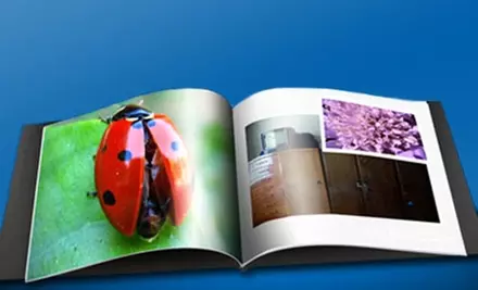 $10 for an 8"x8" Soft-Cover Photo Book from A&I Books ($30 Value) - Primary Image