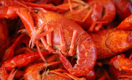 Seafood and Music Seafood Food and DrinksOuting for Two or Four at to Rhode Island Seafood Festival at India Point Park on October 8 - Primary Image