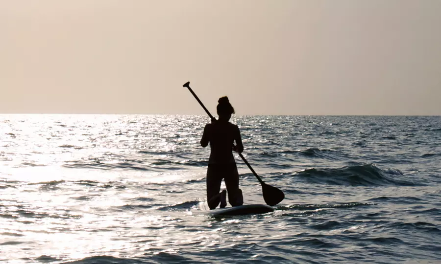 All-Day Surfboard or Paddleboard Rental for One, Two, or Four from Pura Vida Divers (50% Off) - Primary Image